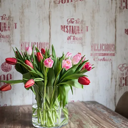 Heinrichs Daire Willingen (Upland)